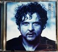 Polecam Album CD RICKY MARTIN -Album- The Best of CD - 8
