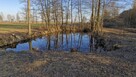 Gospodarstwo rolne 8800 m2, dla każdego. Gmina Szadek. - 10