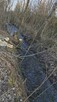 Gospodarstwo rolne 8800 m2, dla każdego. Gmina Szadek. - 16