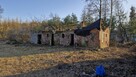 Gospodarstwo rolne 8800 m2, dla każdego. Gmina Szadek. - 4