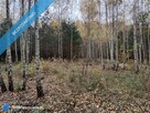 Działka 5200 m2 zalesiona oznaczenie użytku RVI - 5
