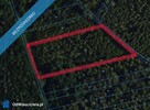 Działka 5200 m2 zalesiona oznaczenie użytku RVI - 8