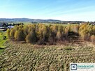 Działka inwestycyjna Mszanka gm. Łużna, - 10