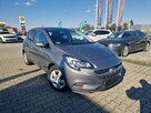 Opel Corsa Podgrz. Fotele i kierownica*Pełka Ks.Serwisowa*Led*Bezwypadkowy! - 3