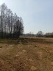 Sprzedam bezpośrednio siedlisko z budynkami gospodarczymi . - 2