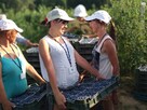 *Max Crop-program do zbiorów borówki, truskawki, maliny* - 11