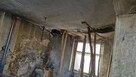 Gospodarstwo rolne 8800 m2, dla każdego. Gmina Szadek. - 6