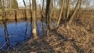 Gospodarstwo rolne 8800 m2, dla każdego. Gmina Szadek. - 11