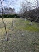Sprzedam działkę nad morzem - 14