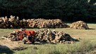 DREWNO do kominka MAZURY drewno na OPAŁ tanio! - 15