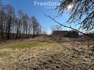 Zielona Kraina Spokoju - 4