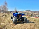 Quad Bombardier 125 - 5