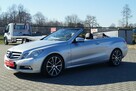 E 250 204 KM CABRIO Z NIEMIEC  NAVI KSENON AUTOMAT SKÓRA  SERWIS W ASO - 13