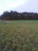 Sprzedam - 2