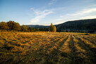 Panoramiczny widok na Beskid Wyspowy, droga dojazdowa, pod T - 16