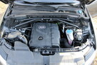 Audi Q5 - 6