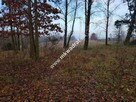 Działka z Warunkami Zabudowy 21800m² Media Okazja! - 8