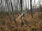 Działka z Warunkami Zabudowy 21800m² Media Okazja! - 9