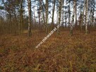 Działka z Warunkami Zabudowy 21800m² Media Okazja! - 10