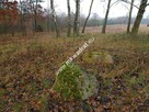 Działka z Warunkami Zabudowy 21800m² Media Okazja! - 11