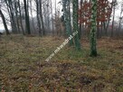 Działka z Warunkami Zabudowy 21800m² Media Okazja! - 12