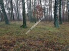Działka z Warunkami Zabudowy 21800m² Media Okazja! - 13