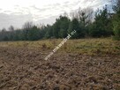 Działka z Warunkami Zabudowy 21800m² Media Okazja! - 16