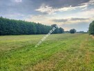 Działka Inwestycyjna dla Developera do podziału - 4
