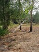 Budowlana DZIAŁKA DO PODZIAŁU pod domy 2 lokalowe - 4