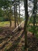 Budowlana DZIAŁKA DO PODZIAŁU pod domy 2 lokalowe - 7