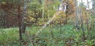 DZIAŁKA budowlano - leśna - 4