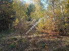 działka zadrzewiona z planem zagospodarowania - 3