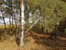 działka zadrzewiona z planem zagospodarowania - 5