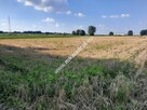 Działka inwestycyjna koło Janek - 2