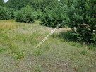 DZIAŁKA BUDOWLANA RUSIEC – blisko las i szkoła - 2