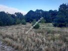 Działka rolna z możl. zabud. dobry dojazd do Wa-wy - 2