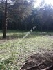 Ojrzanów - urocza działka w otulinie lasu - 2