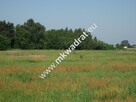 Działka rolna Konstantów - 2