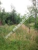 Działka 5000 m² Piotrkowice - 2