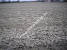 Działki pod mini osiedle Kampinos - Pasikonie - 2