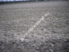 Działki pod mini osiedle Kampinos - Pasikonie - 4