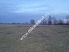 Piękna działka w Wiskitkach - 2