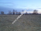Piękna działka w Wiskitkach - 3
