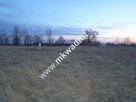 Piękna działka w Wiskitkach - 5
