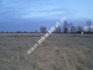 Piękna działka w Wiskitkach - 6