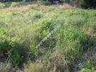 Działka usługowo-przemysłowa - 2