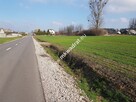 Piękna działka - 6