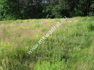 Do sprzedania działki siedliskowe - 3