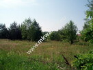 działka usługowa z MPZP 50x78 - 6