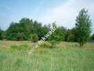 Działka Radziejowice-parcel - 6